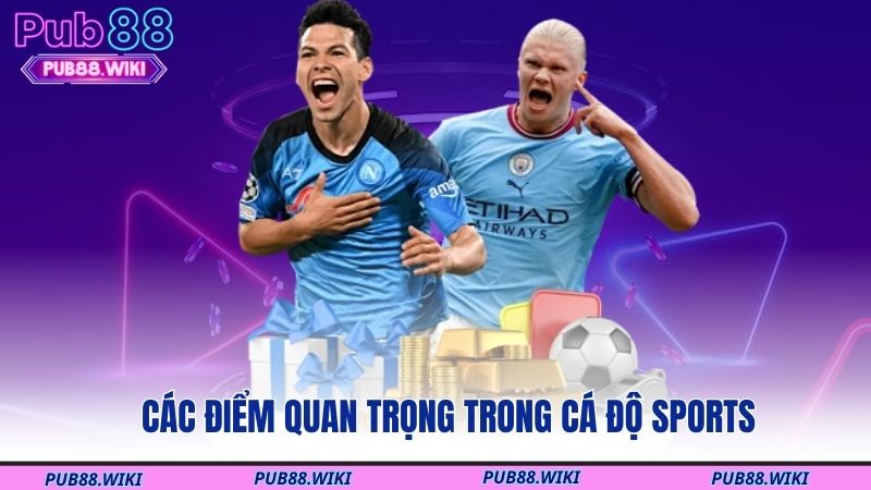Các điểm quan trọng trong cá độ sports