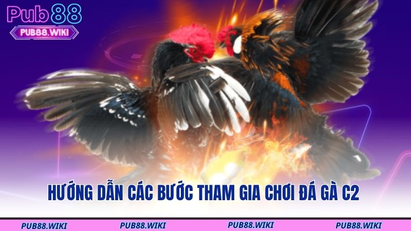 Hướng dẫn các bước tham gia chơi đá gà C2
