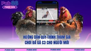 Hướng dẫn quy trình tham gia chơi đá gà C3 cho người mới