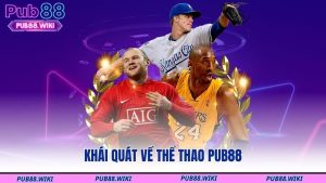 Khái quát về thể thao PUB88