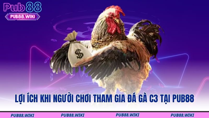 Lợi ích khi người chơi tham gia đá gà C3 tại Pub88