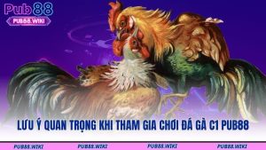 Lưu ý quan trọng khi tham gia chơi đá gà C1 PUB88