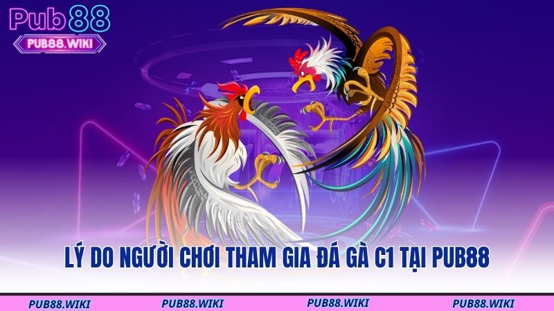 Lý do người chơi tham gia đá gà C1 tại PUB88