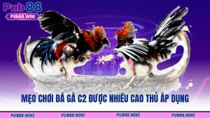 Mẹo chơi đá gà C2 được nhiều cao thủ áp dụng