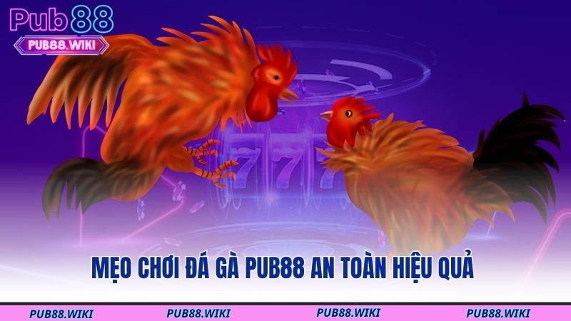 Mẹo chơi đá gà PUB88 an toàn hiệu quả