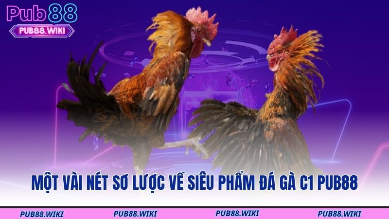 Một vài nét sơ lược về siêu phẩm đá gà C1 PUB88