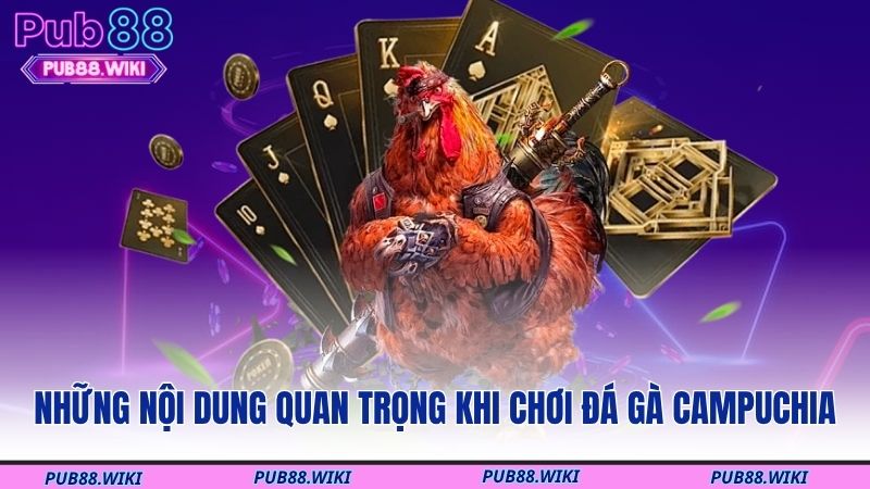 Những nội dung quan trọng khi chơi đá gà Campuchia