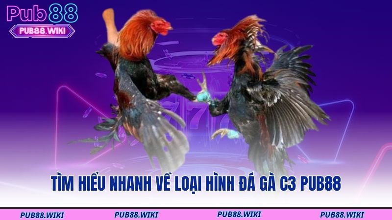 Tìm hiểu nhanh về loại hình đá gà C3 PUB88
