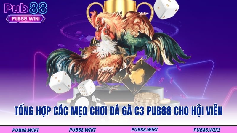 Tổng hợp các mẹo chơi đá gà C3 PUB88 cho hội viên