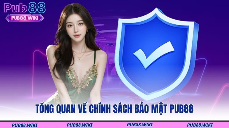 Tổng quan về chính sách bảo mật PUB88