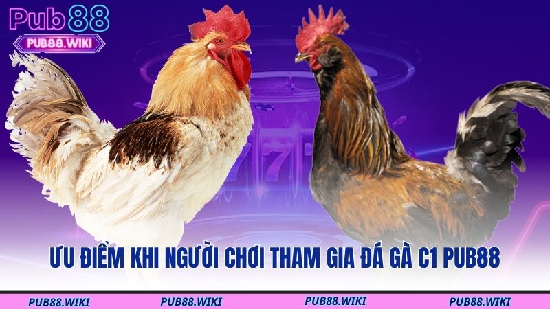 Ưu điểm khi người chơi tham gia đá gà C1 PUB88