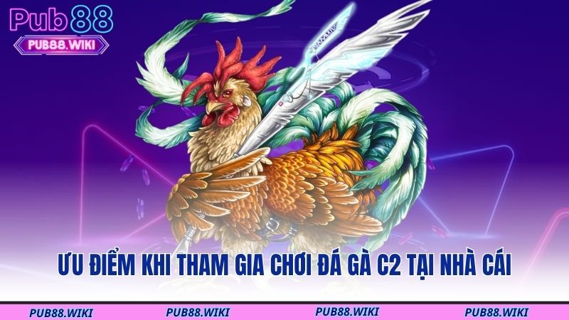 Ưu điểm khi tham gia chơi đá gà C2 tại nhà cái